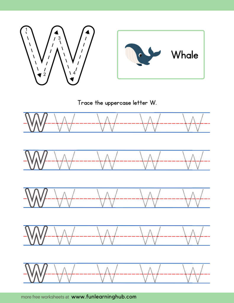 Alphabet Tracing Uppercase W