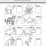 Animal Beginning Sounds Challenge
