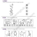 Animal Beginning Sound Review 2