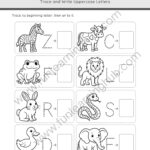 Trace and Write Animal Beginning Letter